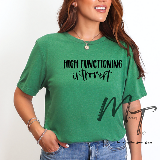 High functioning introvert
