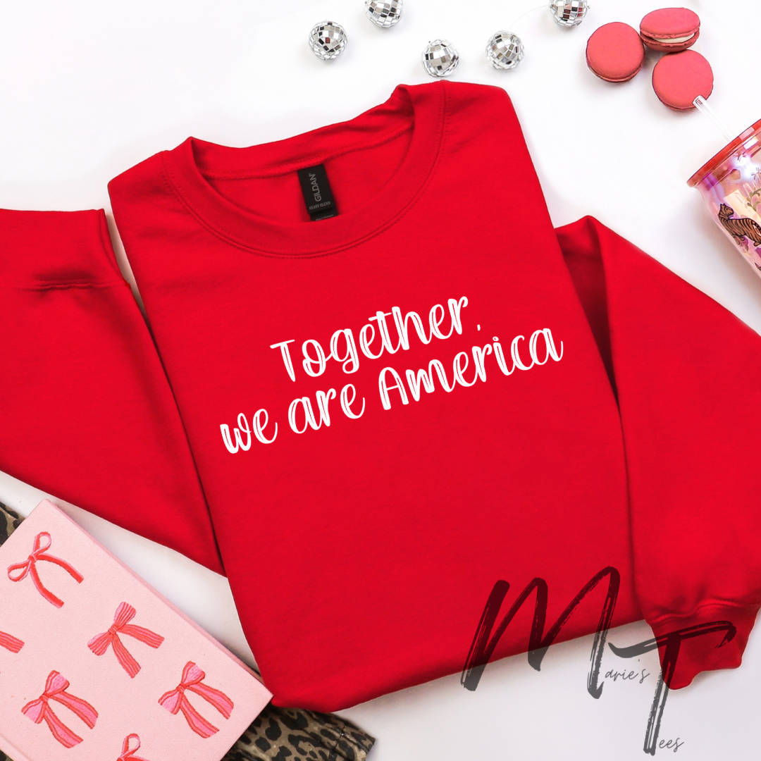 Together we are America