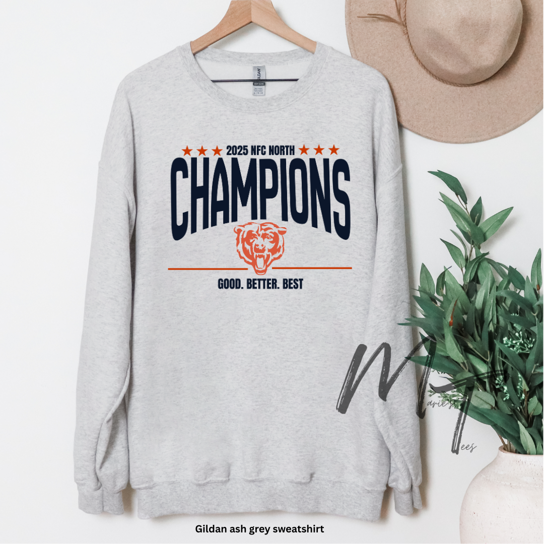 2025 NFC North Champions